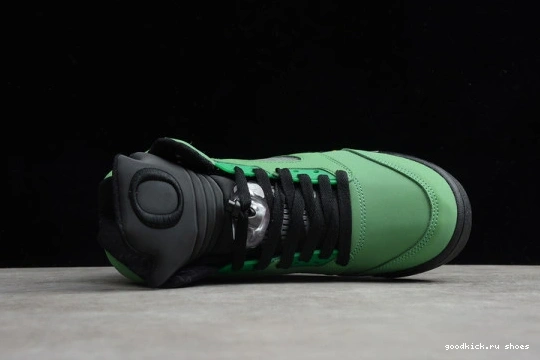 454803-535 454803-535 Oregon Retro Jordan Air 5 Ducks 0206